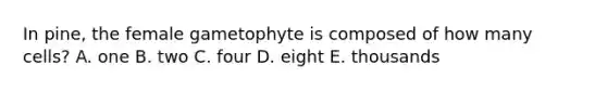 In pine, the female gametophyte is composed of how many cells? A. one B. two C. four D. eight E. thousands