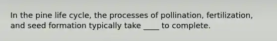 In the pine life cycle, the processes of pollination, fertilization, and seed formation typically take ____ to complete.