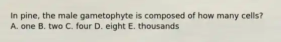 In pine, the male gametophyte is composed of how many cells? A. one B. two C. four D. eight E. thousands