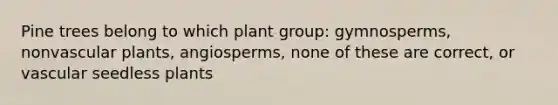 Pine trees belong to which plant group: gymnosperms, nonvascular plants, angiosperms, none of these are correct, or vascular seedless plants