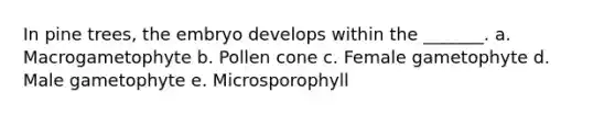 In pine trees, the embryo develops within the _______. a. Macrogametophyte b. Pollen cone c. Female gametophyte d. Male gametophyte e. Microsporophyll