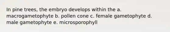 In pine trees, the embryo develops within the a. macrogametophyte b. pollen cone c. female gametophyte d. male gametophyte e. microsporophyll