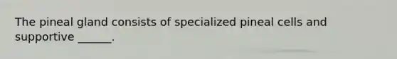The pineal gland consists of specialized pineal cells and supportive ______.