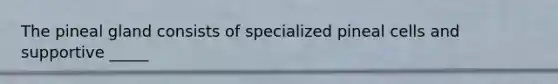 The pineal gland consists of specialized pineal cells and supportive _____