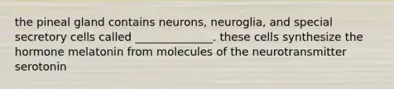 the pineal gland contains neurons, neuroglia, and special secretory cells called ______________. these cells synthesize the hormone melatonin from molecules of the neurotransmitter serotonin