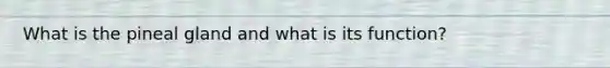 What is the pineal gland and what is its function?