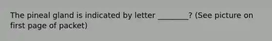 The pineal gland is indicated by letter ________? (See picture on first page of packet)