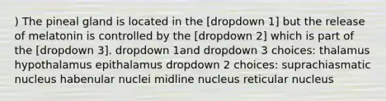 ) The pineal gland is located in the [dropdown 1] but the release of melatonin is controlled by the [dropdown 2] which is part of the [dropdown 3]. dropdown 1and dropdown 3 choices: thalamus hypothalamus epithalamus dropdown 2 choices: suprachiasmatic nucleus habenular nuclei midline nucleus reticular nucleus