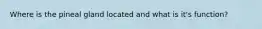 Where is the pineal gland located and what is it's function?