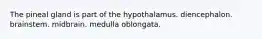 The pineal gland is part of the hypothalamus. diencephalon. brainstem. midbrain. medulla oblongata.