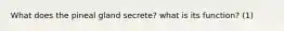 What does the pineal gland secrete? what is its function? (1)
