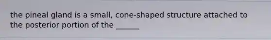 the pineal gland is a small, cone-shaped structure attached to the posterior portion of the ______