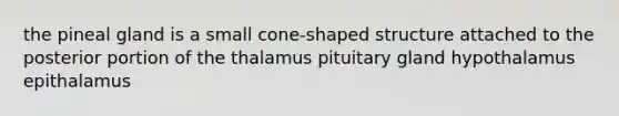 the pineal gland is a small cone-shaped structure attached to the posterior portion of the thalamus pituitary gland hypothalamus epithalamus