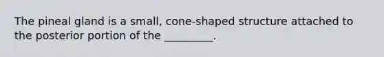 The pineal gland is a small, cone-shaped structure attached to the posterior portion of the _________.