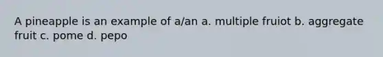 A pineapple is an example of a/an a. multiple fruiot b. aggregate fruit c. pome d. pepo