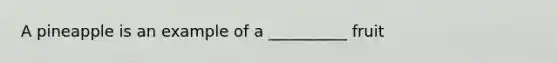 A pineapple is an example of a __________ fruit