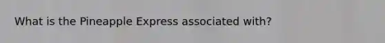 What is the Pineapple Express associated with?