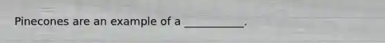 Pinecones are an example of a ___________.