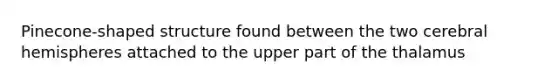 Pinecone-shaped structure found between the two cerebral hemispheres attached to the upper part of the thalamus