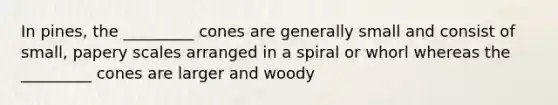 In pines, the _________ cones are generally small and consist of small, papery scales arranged in a spiral or whorl whereas the _________ cones are larger and woody