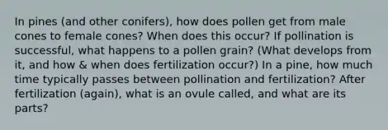 In pines (and other conifers), how does pollen get from male cones to female cones? When does this occur? If pollination is successful, what happens to a pollen grain? (What develops from it, and how & when does fertilization occur?) In a pine, how much time typically passes between pollination and fertilization? After fertilization (again), what is an ovule called, and what are its parts?