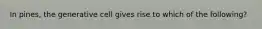 In pines, the generative cell gives rise to which of the following?