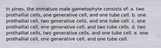 In pines, the immature male gametophyte consists of: a. two prothallial cells, one generative cell, and one tube cell. b. one prothallial cell, two generative cells, and one tube cell. c. one prothallial cell, one generative cell, and two tube cells. d. two prothallial cells, two generative cells, and one tube cell. e. one prothallial cell, one generative cell, and one tube cell.