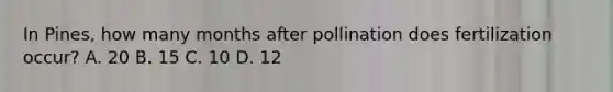 In Pines, how many months after pollination does fertilization occur? A. 20 B. 15 C. 10 D. 12