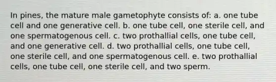 In pines, the mature male gametophyte consists of: a. one tube cell and one generative cell. b. one tube cell, one sterile cell, and one spermatogenous cell. c. two prothallial cells, one tube cell, and one generative cell. d. two prothallial cells, one tube cell, one sterile cell, and one spermatogenous cell. e. two prothallial cells, one tube cell, one sterile cell, and two sperm.