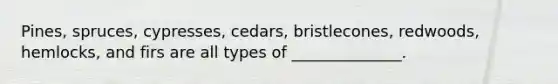 Pines, spruces, cypresses, cedars, bristlecones, redwoods, hemlocks, and firs are all types of ______________.