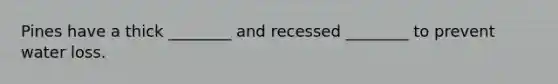 Pines have a thick ________ and recessed ________ to prevent water loss.