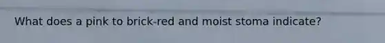 What does a pink to brick-red and moist stoma indicate?