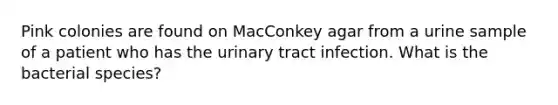 Pink colonies are found on MacConkey agar from a urine sample of a patient who has the urinary tract infection. What is the bacterial species?