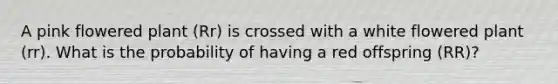 A pink flowered plant (Rr) is crossed with a white flowered plant (rr). What is the probability of having a red offspring (RR)?