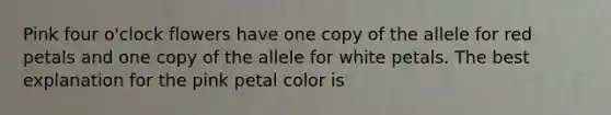 Pink four o'clock flowers have one copy of the allele for red petals and one copy of the allele for white petals. The best explanation for the pink petal color is