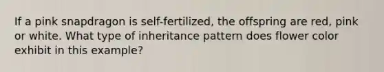 If a pink snapdragon is self-fertilized, the offspring are red, pink or white. What type of inheritance pattern does flower color exhibit in this example?