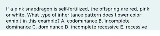 If a pink snapdragon is self-fertilized, the offspring are red, pink, or white. What type of inheritance pattern does flower color exhibit in this example? A. codominance B. incomplete dominance C. dominance D. incomplete recessive E. recessive