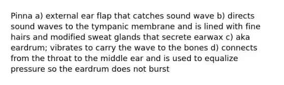 Pinna a) external ear flap that catches sound wave b) directs sound waves to the tympanic membrane and is lined with fine hairs and modified sweat glands that secrete earwax c) aka eardrum; vibrates to carry the wave to the bones d) connects from the throat to the middle ear and is used to equalize pressure so the eardrum does not burst