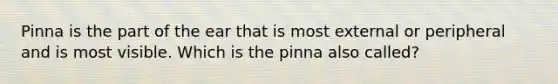 Pinna is the part of the ear that is most external or peripheral and is most visible. Which is the pinna also called?