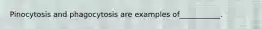 Pinocytosis and phagocytosis are examples of___________.