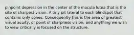 pinpoint depression in the center of the macula lutea that is the site of sharpest vision. A tiny pit lateral to each blindspot that contains only cones. Consequently this is the area of greatest visual acuity, or point of sharpness vision, and anything we wish to view critically is focused on the structure.