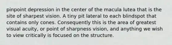 pinpoint depression in the center of the macula lutea that is the site of sharpest vision. A tiny pit lateral to each blindspot that contains only cones. Consequently this is the area of greatest visual acuity, or point of sharpness vision, and anything we wish to view critically is focused on the structure.