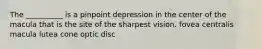 The __________ is a pinpoint depression in the center of the macula that is the site of the sharpest vision. fovea centralis macula lutea cone optic disc