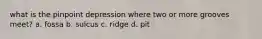 what is the pinpoint depression where two or more grooves meet? a. fossa b. sulcus c. ridge d. pit