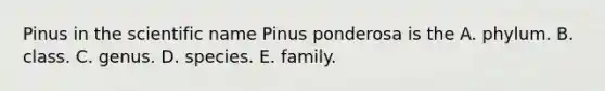 Pinus in the scientific name Pinus ponderosa is the A. phylum. B. class. C. genus. D. species. E. family.