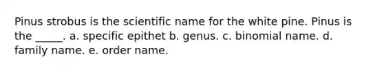 Pinus strobus is the scientific name for the white pine. Pinus is the _____. a. specific epithet b. genus. c. binomial name. d. family name. e. order name.