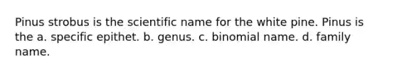 Pinus strobus is the scientific name for the white pine. Pinus is the a. specific epithet. b. genus. c. binomial name. d. family name.