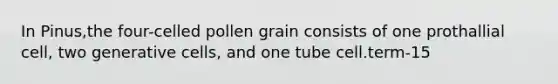 In Pinus,the four-celled pollen grain consists of one prothallial cell, two generative cells, and one tube cell.term-15