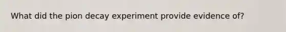 What did the pion decay experiment provide evidence of?