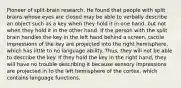 Pioneer of split-brain research. He found that people with split brains whose eyes are closed may be able to verbally describe an object such as a key when they hold it in one hand, but not when they hold it in the other hand. If the person with the split brain handles the key in the left hand behind a screen, tactile impressions of the key are projected into the right hemisphere, which has little to no language ability. Thus, they will not be able to describe the key. If they hold the key in the right hand, they will have no trouble describing it because sensory impressions are projected in to the left hemisphere of the cortex, which contains language functions.